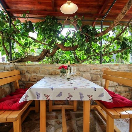 Carla Guest House Novigrad  Luaran gambar
