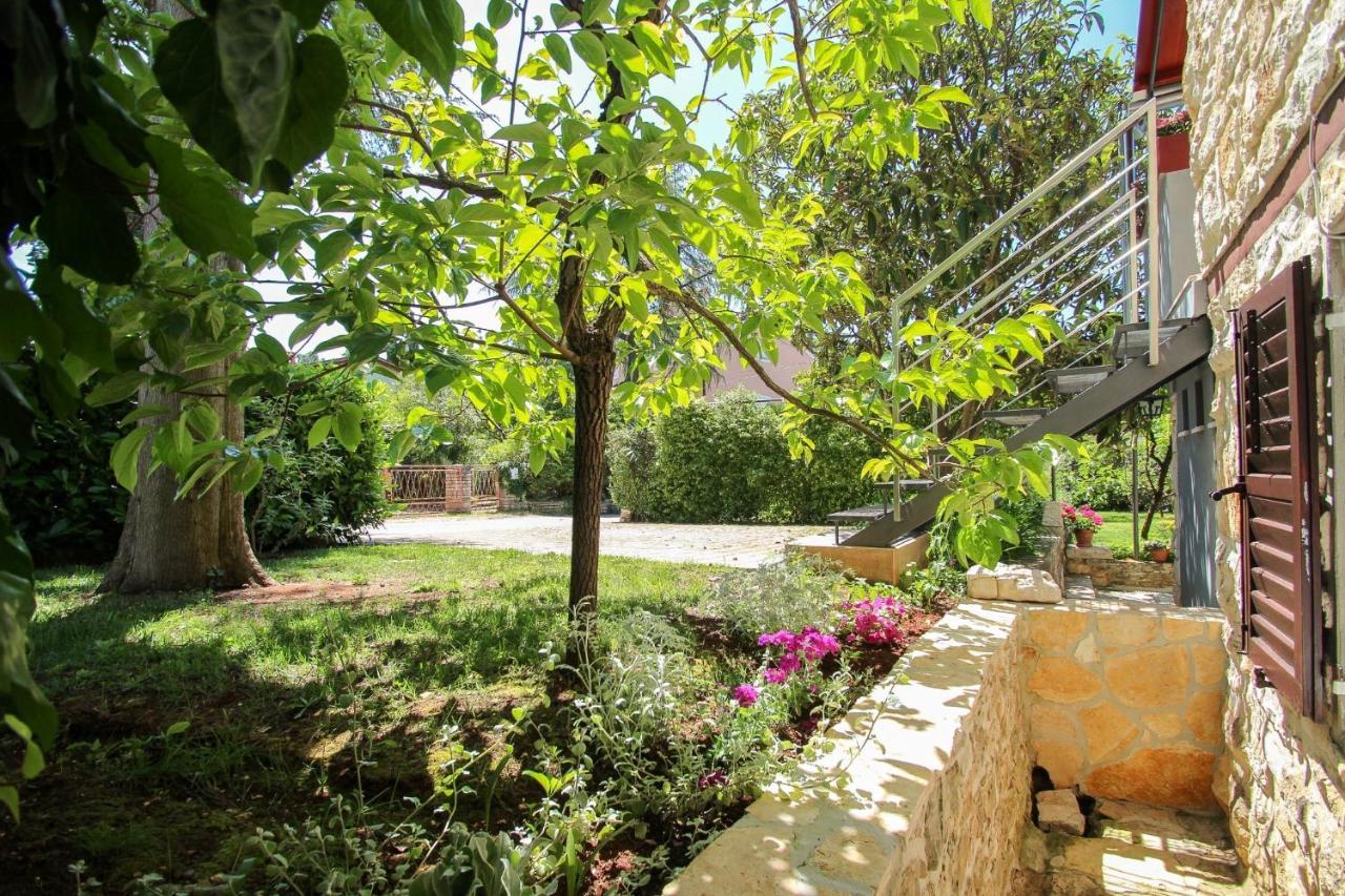 Carla Guest House Novigrad  Luaran gambar